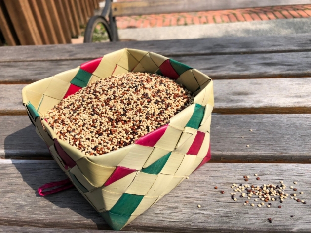 彩色藜麥(紅藜麥，黑藜麥，黃金藜麥) 1