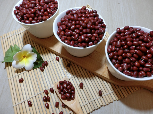 屏東萬丹特大紅豆 1