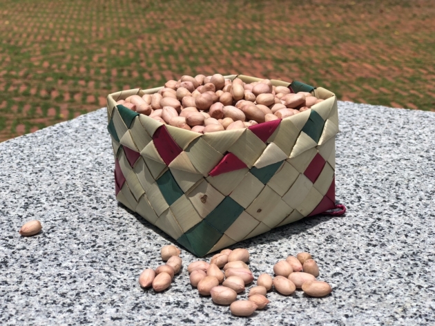 北港現採新九號生花生 3