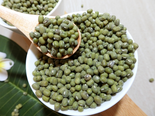 毛綠豆 1
