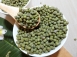 毛綠豆