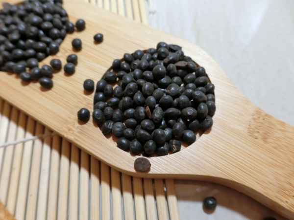 臺灣炒熟泡茶青仁黑豆(泡酒黑豆)