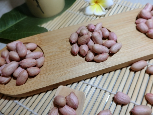 北港九號花生種子