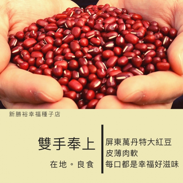 屏東萬丹特大紅豆
