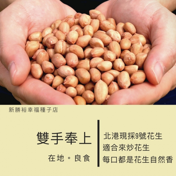 北港現採新九號生花生