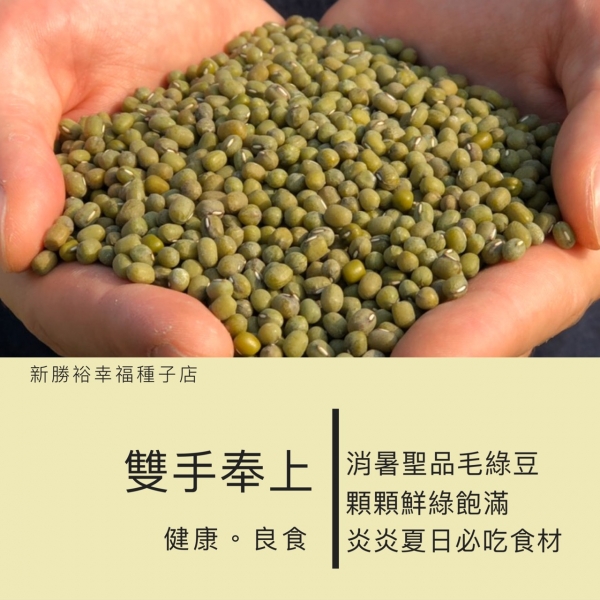 毛綠豆