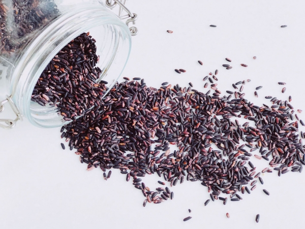 免浸泡台灣黑米